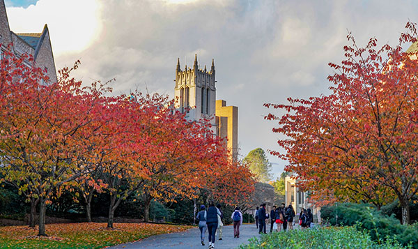 Fall leaves on UW campus